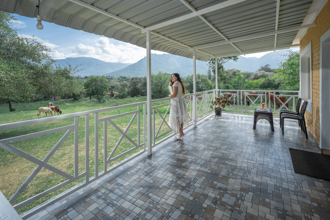 Wild Forest Jungle Resort (Masinagudi)
